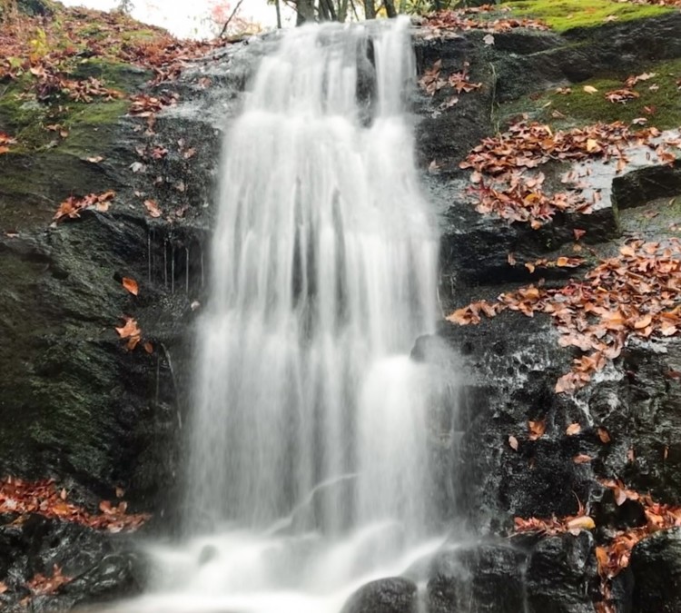 Waterfalls Park (Newland,&nbspNC)